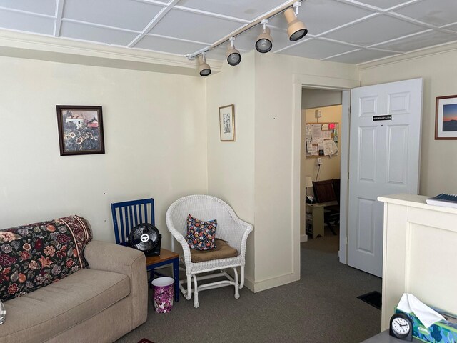 living room featuring carpet and track lighting