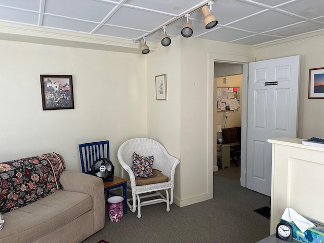 living area with carpet floors, baseboards, and track lighting