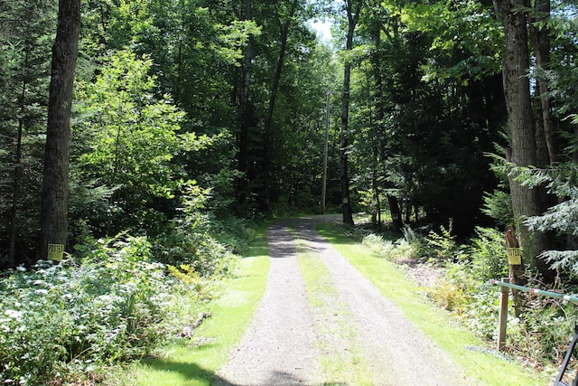 243 Lang Hill Hwy, Brooks, ME 04921 - view of street with a wooded view