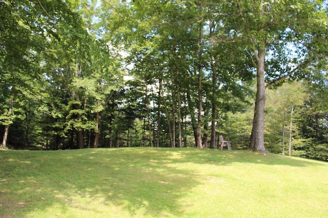 243 Lang Hill Hwy, Brooks, ME 04921 - view of grassy yard