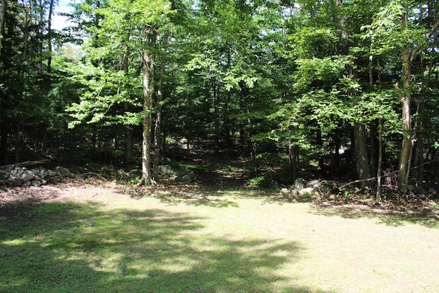 243 Lang Hill Hwy, Brooks, ME 04921 - view of green lawn with a forest view