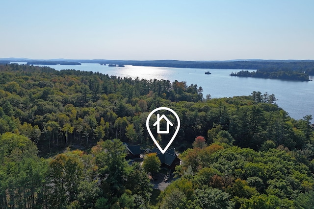 bird's eye view with a wooded view and a water view