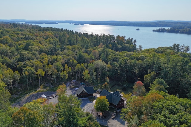 bird's eye view featuring a water view and a wooded view
