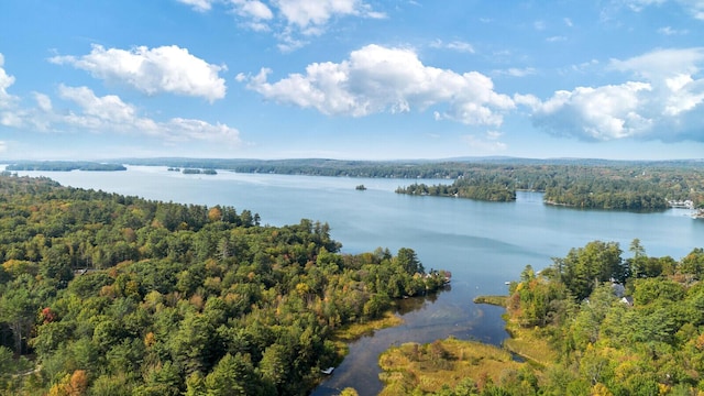 aerial view featuring a water view and a view of trees