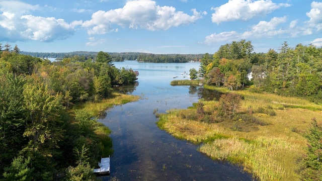 view of water feature featuring a view of trees