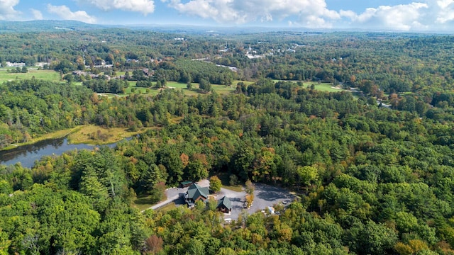 bird's eye view with a water view and a wooded view