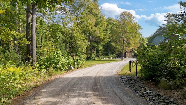 view of street with driveway