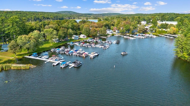 bird's eye view featuring a water view and a view of trees