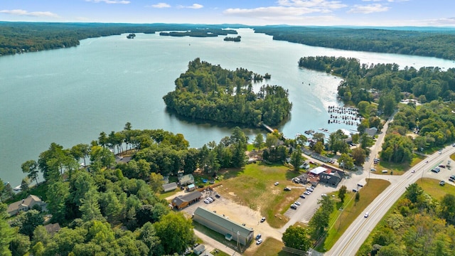 drone / aerial view with a forest view and a water view