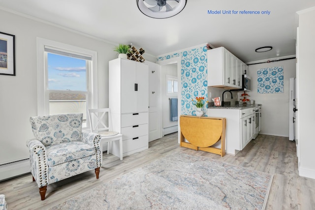 kitchen featuring light wood-type flooring, a baseboard radiator, white cabinetry, and ornamental molding