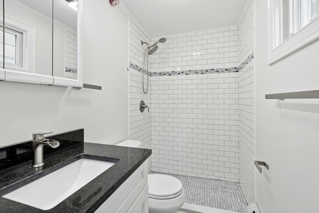 bathroom with toilet, a stall shower, and vanity