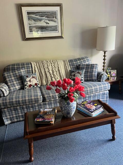 living room with carpet floors