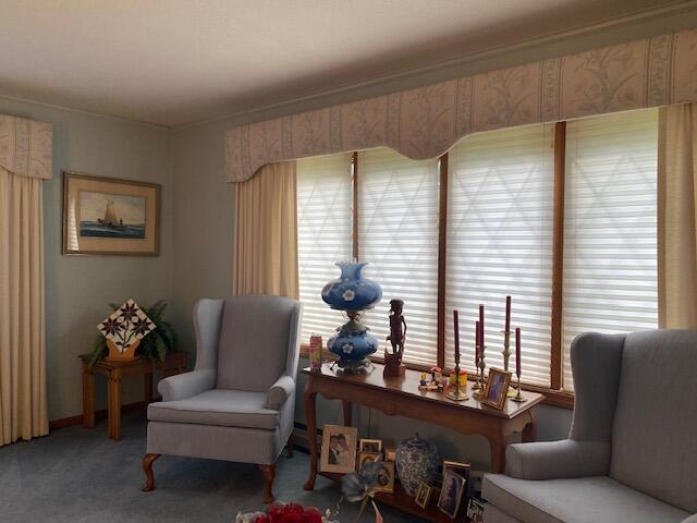 living area featuring carpet floors