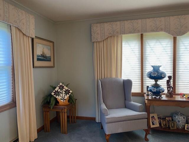 sitting room featuring carpet floors