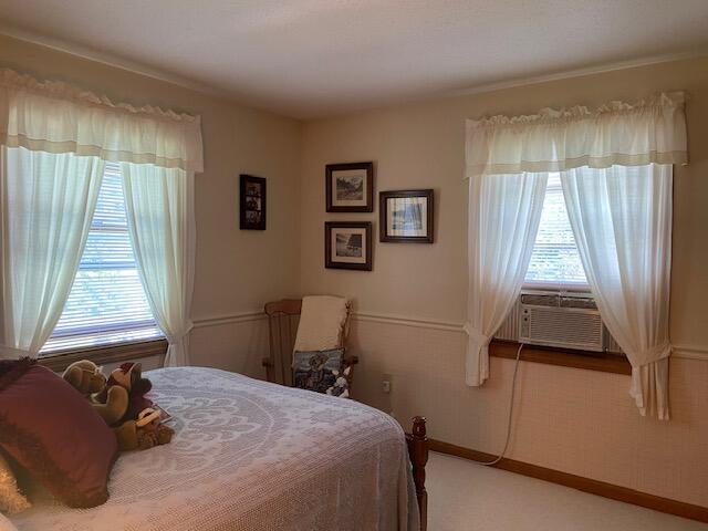 bedroom featuring multiple windows