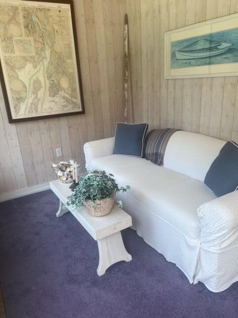 living room featuring carpet flooring and wood walls