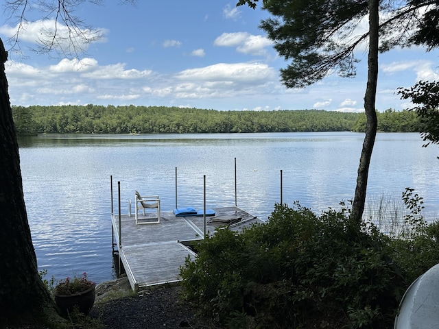 view of dock featuring a water view