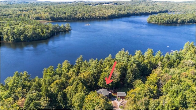 315 Shore Rd, Fayette, ME 04349 - aerial view of a forest and a large body of water