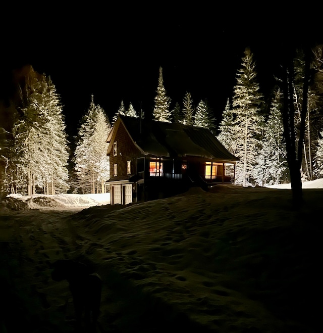 view of snowy exterior