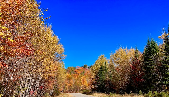 view of road