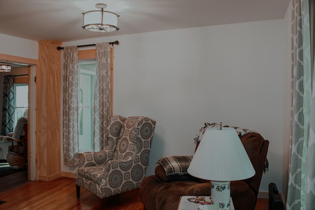 living area featuring hardwood / wood-style floors