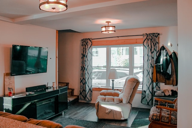 living room featuring wood-type flooring