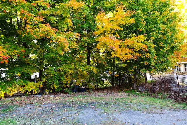 24 Elm St, Houlton, ME 04730 - view of yard