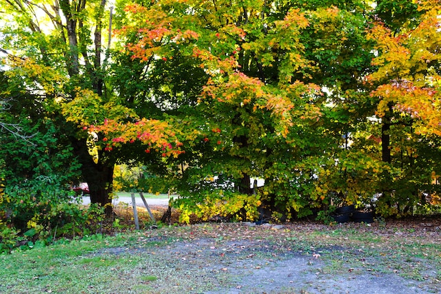 24 Elm St, Houlton, ME 04730 - view of yard