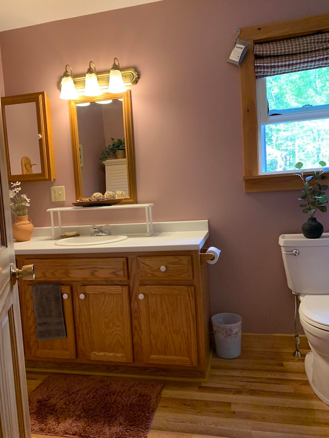 bathroom with hardwood / wood-style flooring, vanity, and toilet