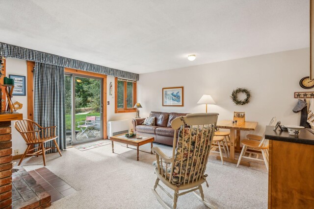 living room featuring carpet