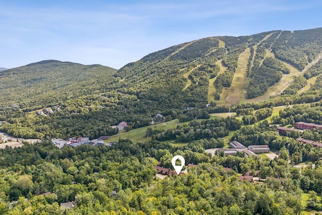 bird's eye view with a mountain view and a view of trees