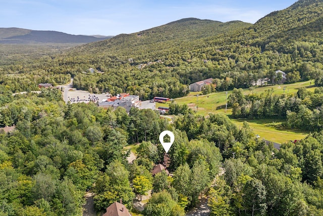 birds eye view of property featuring a forest view and a mountain view