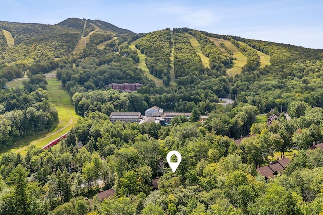 drone / aerial view featuring a wooded view and a mountain view