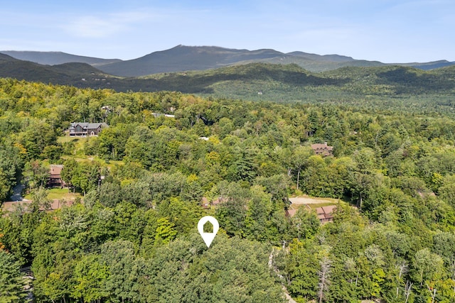 birds eye view of property with a forest view and a mountain view