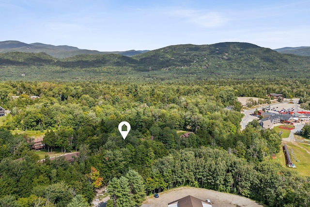 bird's eye view featuring a mountain view and a view of trees