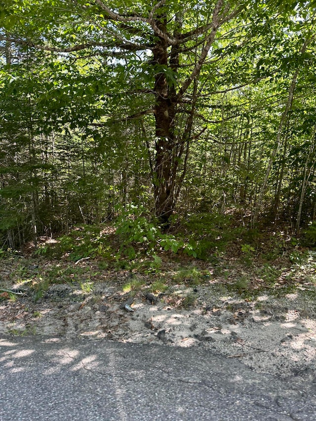 0 Tenan Ln, Cherryfield ME, 04622 land for sale