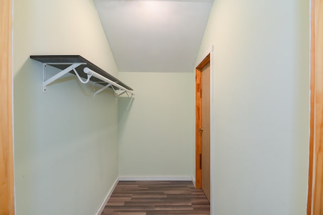 walk in closet with lofted ceiling and dark hardwood / wood-style flooring