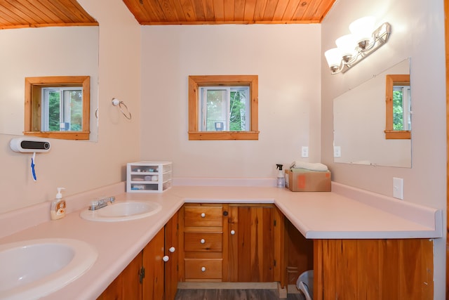 bathroom with plenty of natural light and wooden ceiling