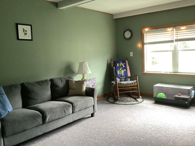 living room featuring beamed ceiling and carpet flooring