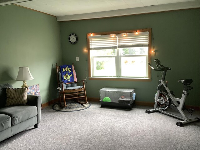 sitting room with carpet