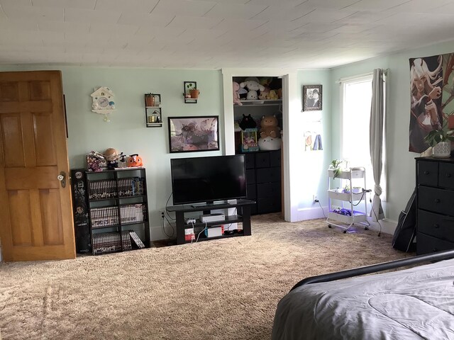 bedroom with carpet floors