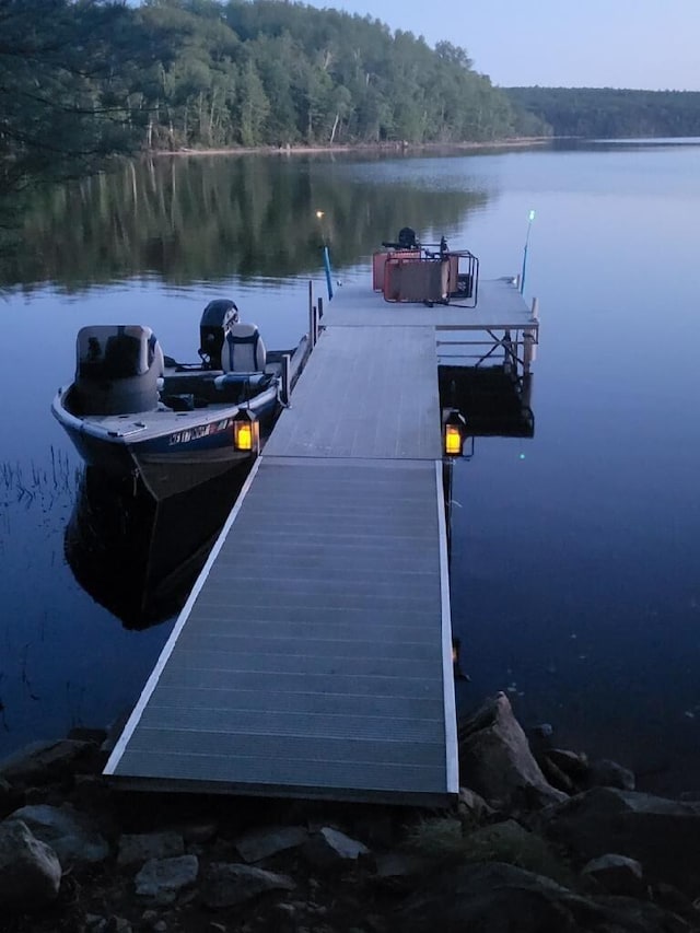 dock area with a water view