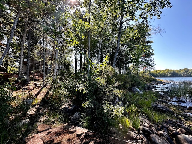 view of local wilderness with a water view