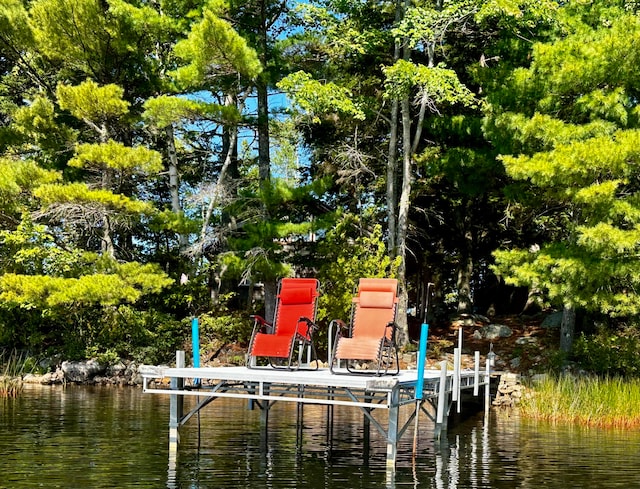 dock area featuring a water view