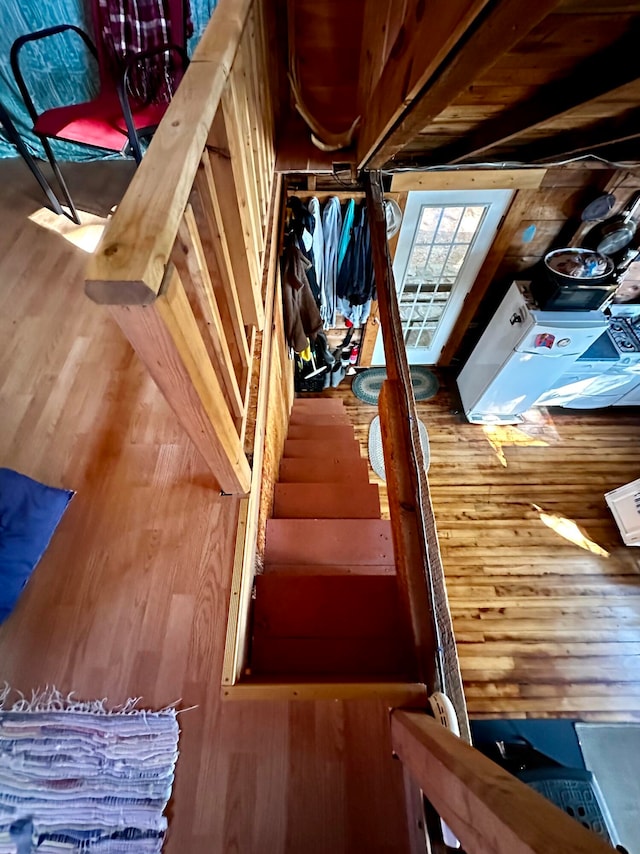 staircase with wood-type flooring