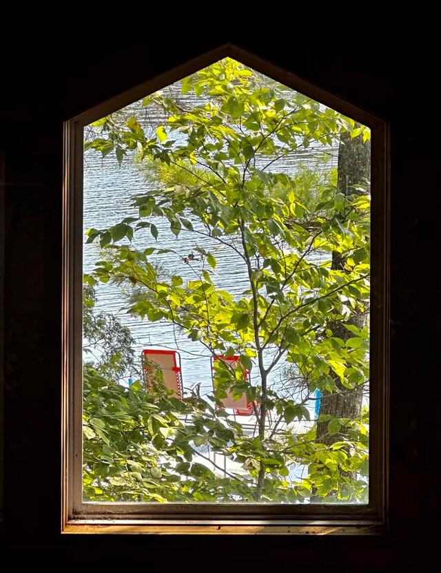 interior details with a water view