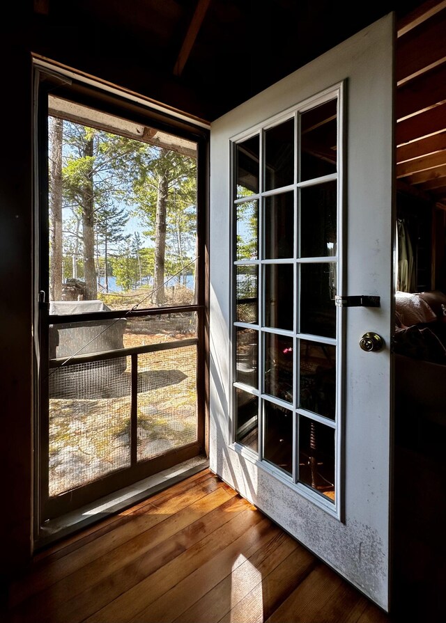 entryway with hardwood / wood-style floors