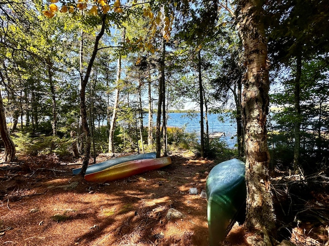 view of yard featuring a water view