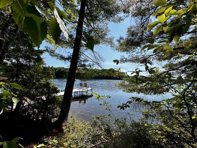 view of dock with a water view