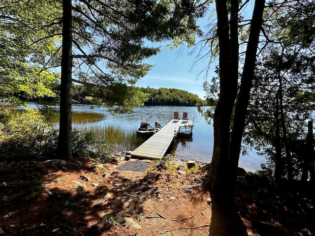 dock area featuring a water view